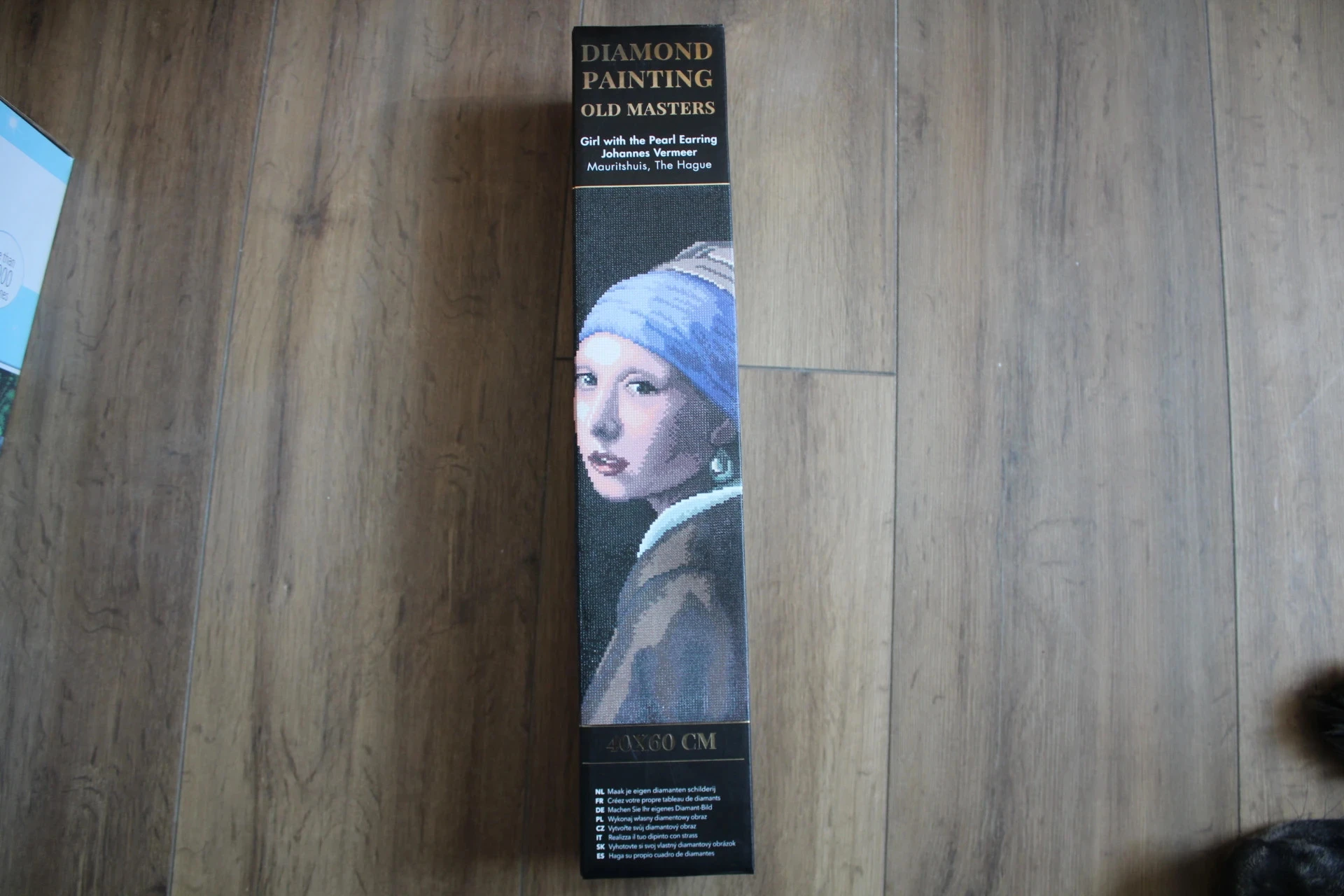 Kit Diamond Painting "Old Masters" La Jeune Fille à la Perle – photo 4